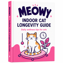 Indoor Cat Longevity Guide