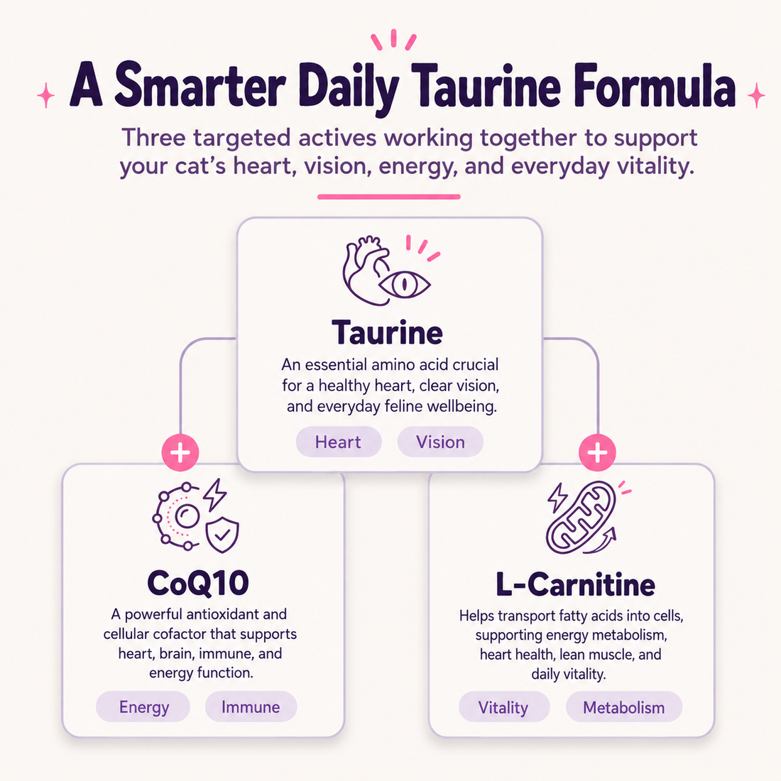 A smarter daily formula — taurine, CoQ10 and L-carnitine
